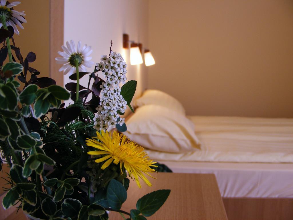 Motel Vector Gaesti Номер фото