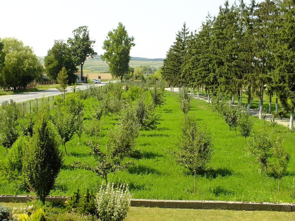 Motel Vector Gaesti Экстерьер фото